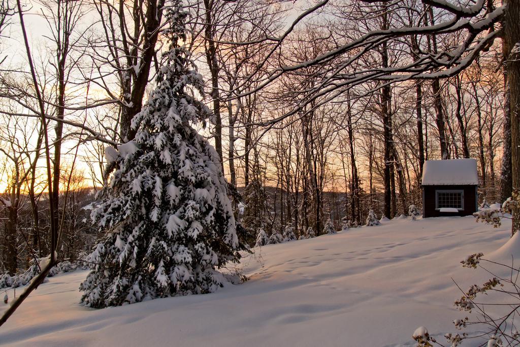 Le Petit Clocher Gite Touristique B & B Saint-Sauveur-des-Monts Exterior foto