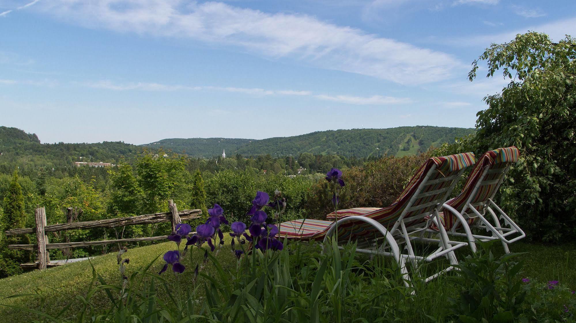 Le Petit Clocher Gite Touristique B & B Saint-Sauveur-des-Monts Exterior foto